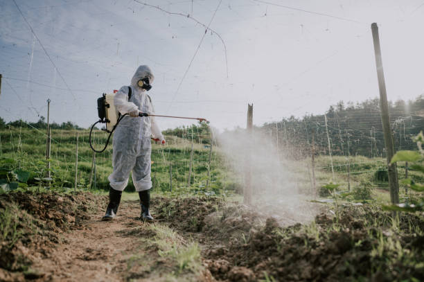 Best Best Pest Control Companies  in Swoyersville, PA