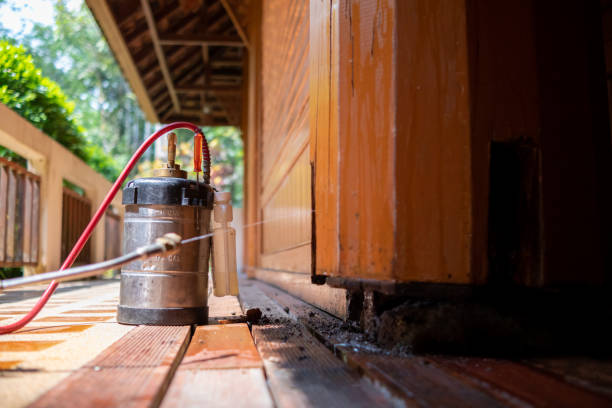 Pest Control for Restaurants in Swoyersville, PA