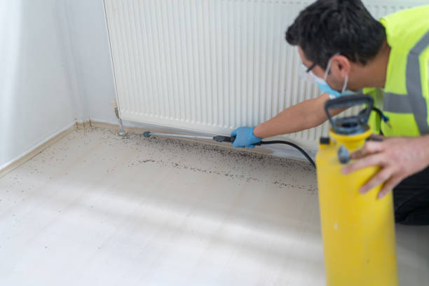 Best Pest Control Near Me  in Swoyersville, PA