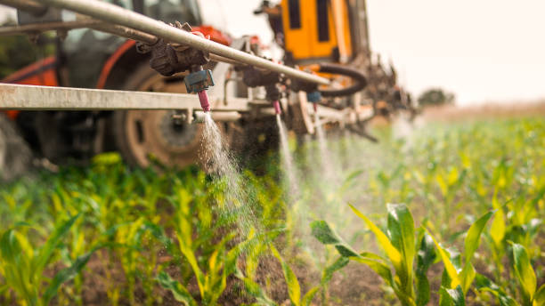 Best Mosquito Control Services  in Swoyersville, PA